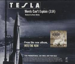 Tesla : Words Can't Explain